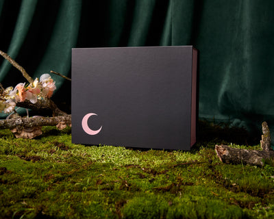 Saturday Box set on moss against green backdrop